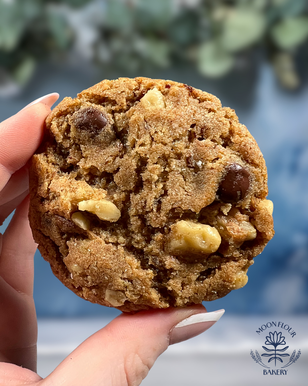 Cookies (2)